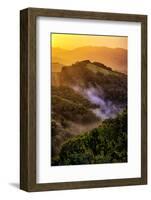 Sunrise Mood Northern California Hills, Mount Diablo-Vincent James-Framed Photographic Print