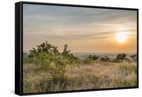 Sunrise, Moor, the Clouds, Shrub-Jurgen Ulmer-Framed Stretched Canvas