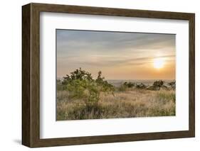 Sunrise, Moor, the Clouds, Shrub-Jurgen Ulmer-Framed Photographic Print