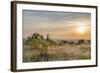 Sunrise, Moor, the Clouds, Shrub-Jurgen Ulmer-Framed Photographic Print