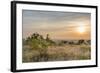 Sunrise, Moor, the Clouds, Shrub-Jurgen Ulmer-Framed Photographic Print