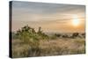 Sunrise, Moor, the Clouds, Shrub-Jurgen Ulmer-Stretched Canvas