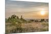 Sunrise, Moor, the Clouds, Shrub-Jurgen Ulmer-Mounted Photographic Print