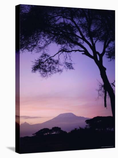 Sunrise, Mount Kilimanjaro, Amboseli National Park, Kenya, East Africa, Africa-David Poole-Stretched Canvas