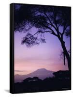 Sunrise, Mount Kilimanjaro, Amboseli National Park, Kenya, East Africa, Africa-David Poole-Framed Stretched Canvas