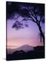 Sunrise, Mount Kilimanjaro, Amboseli National Park, Kenya, East Africa, Africa-David Poole-Stretched Canvas