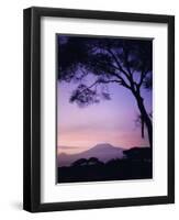 Sunrise, Mount Kilimanjaro, Amboseli National Park, Kenya, East Africa, Africa-David Poole-Framed Photographic Print