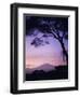 Sunrise, Mount Kilimanjaro, Amboseli National Park, Kenya, East Africa, Africa-David Poole-Framed Photographic Print