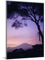 Sunrise, Mount Kilimanjaro, Amboseli National Park, Kenya, East Africa, Africa-David Poole-Mounted Photographic Print