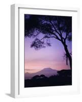 Sunrise, Mount Kilimanjaro, Amboseli National Park, Kenya, East Africa, Africa-David Poole-Framed Photographic Print