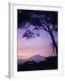 Sunrise, Mount Kilimanjaro, Amboseli National Park, Kenya, East Africa, Africa-David Poole-Framed Photographic Print