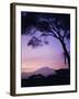 Sunrise, Mount Kilimanjaro, Amboseli National Park, Kenya, East Africa, Africa-David Poole-Framed Photographic Print