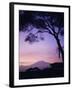 Sunrise, Mount Kilimanjaro, Amboseli National Park, Kenya, East Africa, Africa-David Poole-Framed Photographic Print