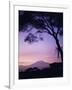 Sunrise, Mount Kilimanjaro, Amboseli National Park, Kenya, East Africa, Africa-David Poole-Framed Photographic Print