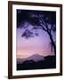 Sunrise, Mount Kilimanjaro, Amboseli National Park, Kenya, East Africa, Africa-David Poole-Framed Photographic Print