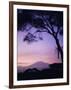 Sunrise, Mount Kilimanjaro, Amboseli National Park, Kenya, East Africa, Africa-David Poole-Framed Photographic Print