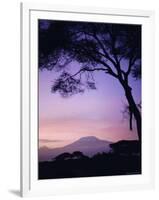 Sunrise, Mount Kilimanjaro, Amboseli National Park, Kenya, East Africa, Africa-David Poole-Framed Photographic Print