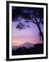 Sunrise, Mount Kilimanjaro, Amboseli National Park, Kenya, East Africa, Africa-David Poole-Framed Photographic Print