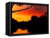 Sunrise, Murray River, Moama, New South Wales, Victoria, Australia-David Wall-Framed Stretched Canvas