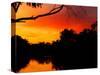 Sunrise, Murray River, Moama, New South Wales, Victoria, Australia-David Wall-Stretched Canvas