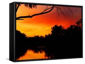 Sunrise, Murray River, Moama, New South Wales, Victoria, Australia-David Wall-Framed Stretched Canvas