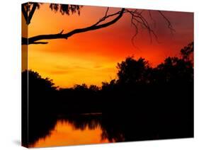 Sunrise, Murray River, Moama, New South Wales, Victoria, Australia-David Wall-Stretched Canvas