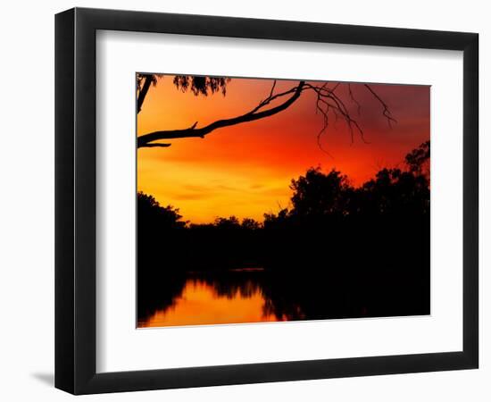 Sunrise, Murray River, Moama, New South Wales, Victoria, Australia-David Wall-Framed Photographic Print