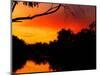 Sunrise, Murray River, Moama, New South Wales, Victoria, Australia-David Wall-Mounted Photographic Print