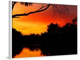 Sunrise, Murray River, Moama, New South Wales, Victoria, Australia-David Wall-Framed Photographic Print