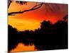 Sunrise, Murray River, Moama, New South Wales, Victoria, Australia-David Wall-Mounted Photographic Print