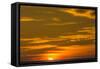 Sunrise Near Los Islotes, the Islets, Baja California Sur, Mexico, North America-Michael Nolan-Framed Stretched Canvas