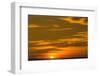 Sunrise Near Los Islotes, the Islets, Baja California Sur, Mexico, North America-Michael Nolan-Framed Photographic Print