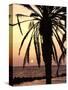 Sunrise Near Sidi Slim, Island of Jerba, Tunisia, North Africa, Africa-Hans Peter Merten-Stretched Canvas