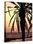 Sunrise Near Sidi Slim, Island of Jerba, Tunisia, North Africa, Africa-Hans Peter Merten-Stretched Canvas