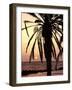 Sunrise Near Sidi Slim, Island of Jerba, Tunisia, North Africa, Africa-Hans Peter Merten-Framed Photographic Print