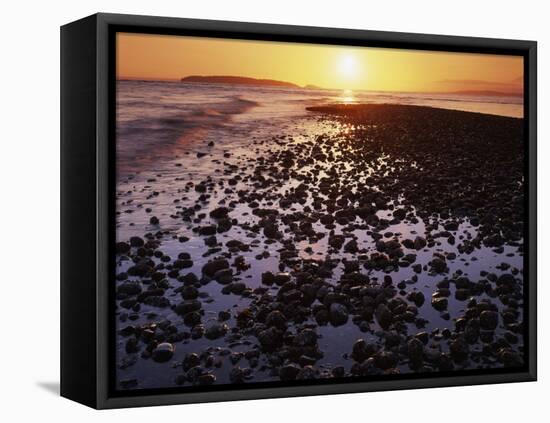 Sunrise, North Beach, Orcas Island, Washington, USA-Charles Gurche-Framed Stretched Canvas