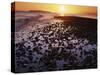 Sunrise, North Beach, Orcas Island, Washington, USA-Charles Gurche-Stretched Canvas