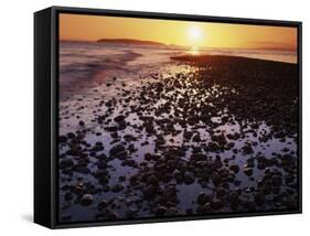 Sunrise, North Beach, Orcas Island, Washington, USA-Charles Gurche-Framed Stretched Canvas