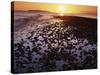 Sunrise, North Beach, Orcas Island, Washington, USA-Charles Gurche-Stretched Canvas