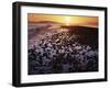 Sunrise, North Beach, Orcas Island, Washington, USA-Charles Gurche-Framed Premium Photographic Print