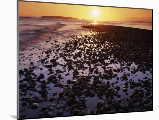 Sunrise, North Beach, Orcas Island, Washington, USA-Charles Gurche-Mounted Premium Photographic Print