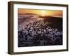 Sunrise, North Beach, Orcas Island, Washington, USA-Charles Gurche-Framed Photographic Print