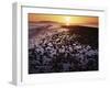 Sunrise, North Beach, Orcas Island, Washington, USA-Charles Gurche-Framed Photographic Print
