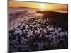 Sunrise, North Beach, Orcas Island, Washington, USA-Charles Gurche-Mounted Photographic Print