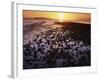 Sunrise, North Beach, Orcas Island, Washington, USA-Charles Gurche-Framed Photographic Print