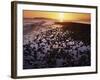 Sunrise, North Beach, Orcas Island, Washington, USA-Charles Gurche-Framed Photographic Print