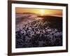 Sunrise, North Beach, Orcas Island, Washington, USA-Charles Gurche-Framed Photographic Print