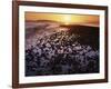 Sunrise, North Beach, Orcas Island, Washington, USA-Charles Gurche-Framed Photographic Print