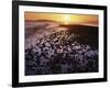 Sunrise, North Beach, Orcas Island, Washington, USA-Charles Gurche-Framed Photographic Print