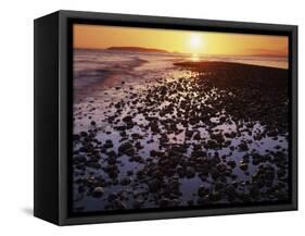 Sunrise, North Beach, Orcas Island, Washington, USA-Charles Gurche-Framed Stretched Canvas